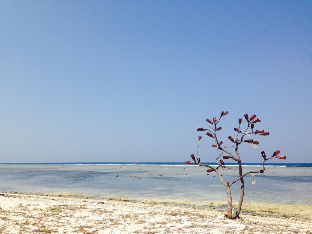 Three Little Birds Homestay Gili Trawangan Exterior photo